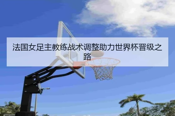 法国女足主教练战术调整助力世界杯晋级之路